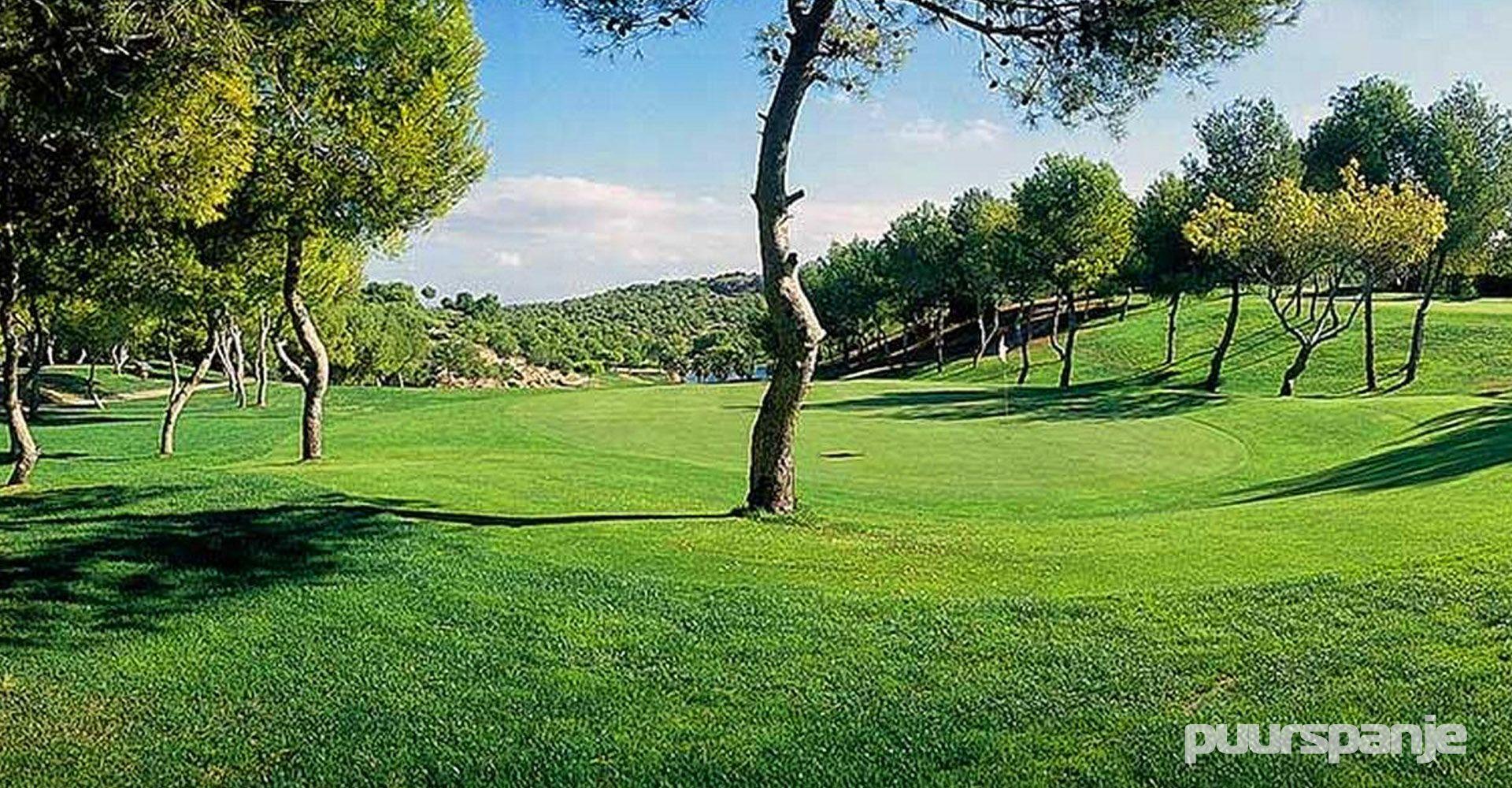 Real Club de Golf Campoamor