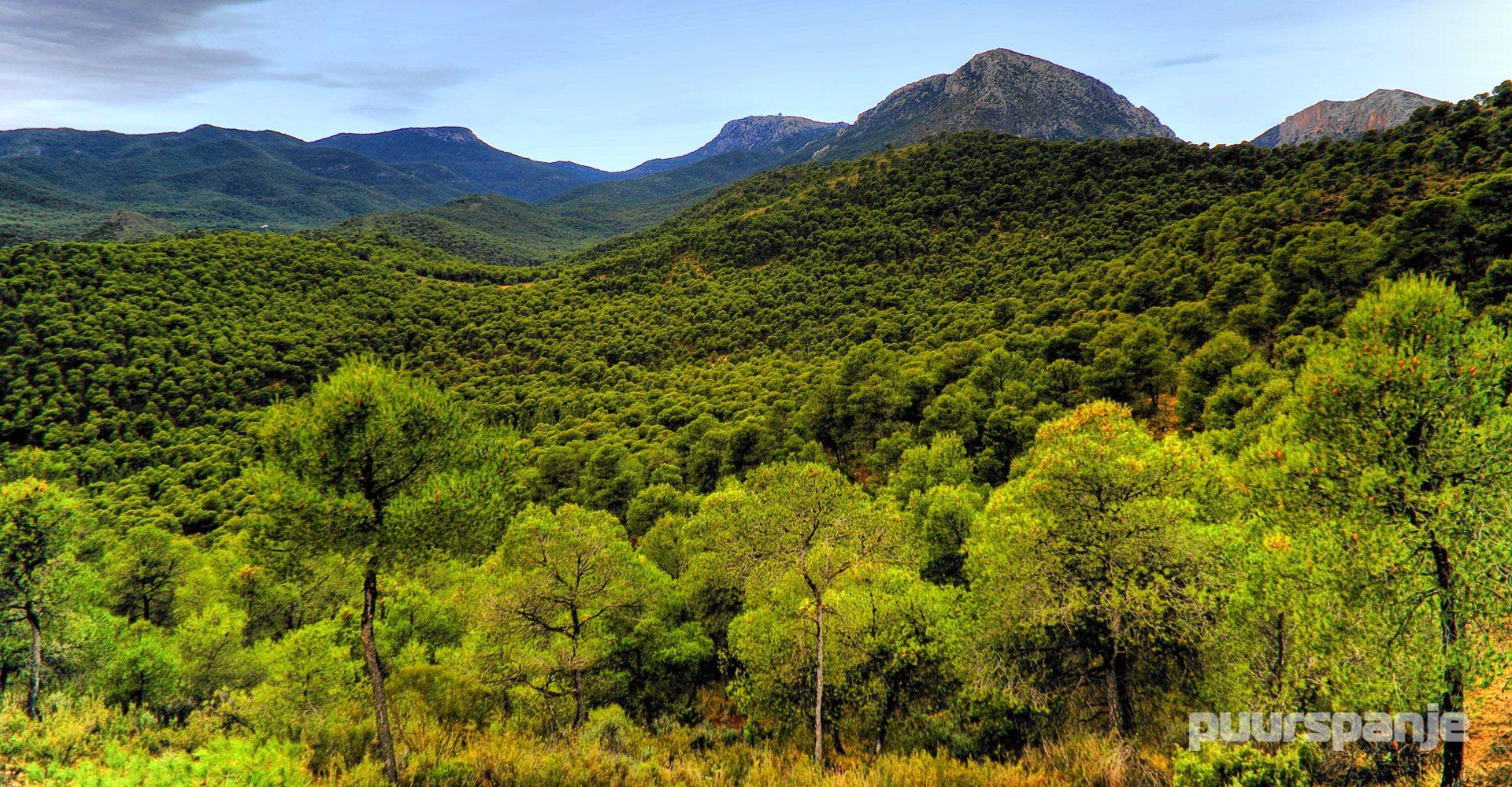 Sierra Espuña